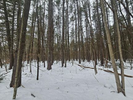 Property in Oxford County, Maine
