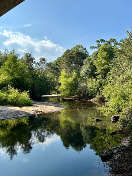 Property in Covington County, Alabama