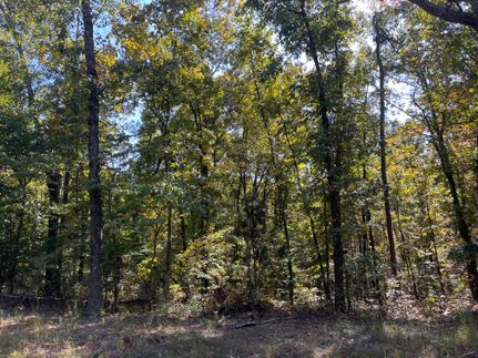 Property for sale in Marion County, Alabama