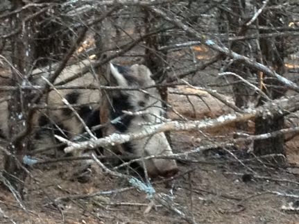 Property in Custer County, Oklahoma