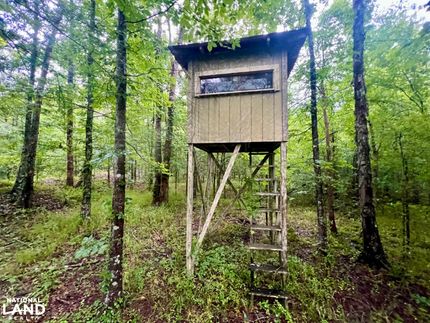 Property in Ouachita Parish, Louisiana