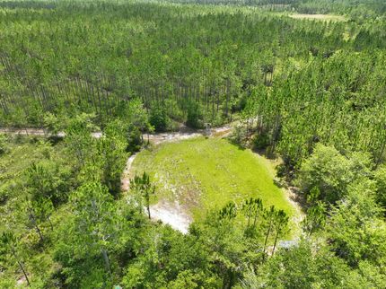 Property in Charlton County, Georgia