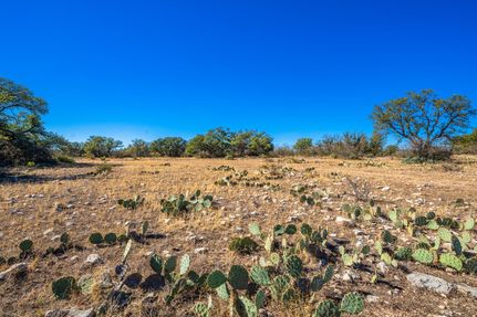 Property in Menard County, Texas