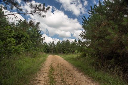 Property in Decatur County, Tennessee