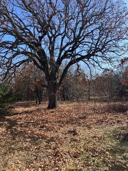 Property for sale in Coal County, Oklahoma