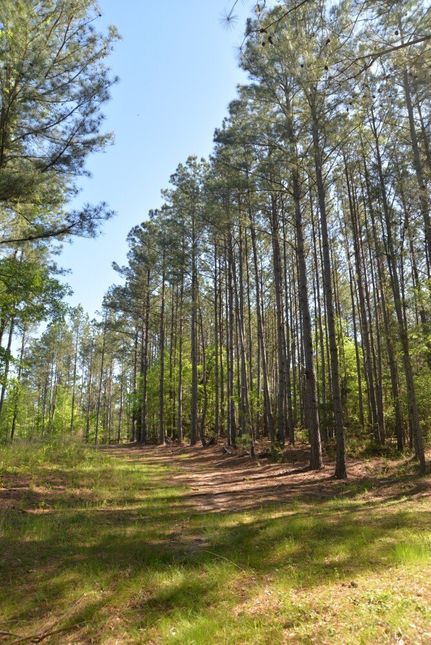 Property for sale in Chester County, South Carolina