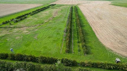 Property in Sully County, South Dakota