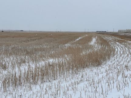 Property in Divide County, North Dakota
