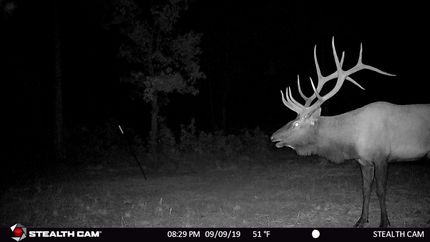 Property in Cibola County, New Mexico