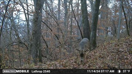 Property in Clinton County, Missouri