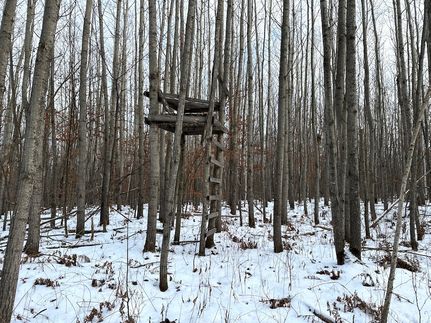 Property in Crow Wing County, Minnesota