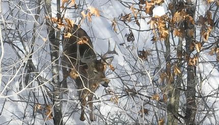 Property in Adams County, Wisconsin