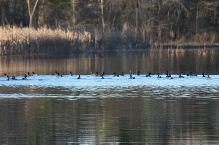 Property in Clarendon County, South Carolina