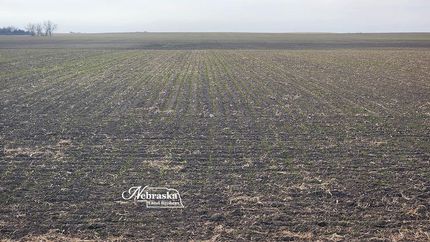 Property for sale in Perkins County, Nebraska