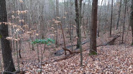 Undeveloped Land for sale in Granville County, North Carolina