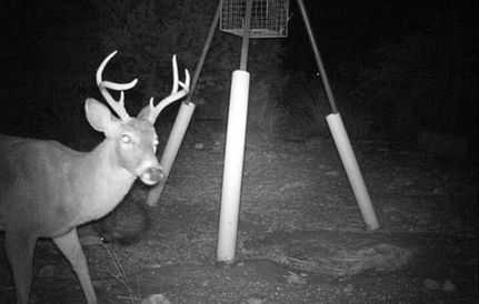 Recreational Property for sale in Val Verde County, Texas