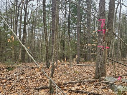 Property in Franklin County, Massachusetts