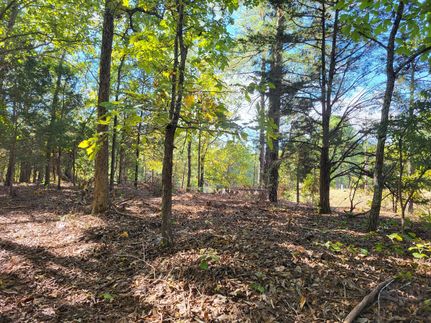 Property in Benton County, Tennessee