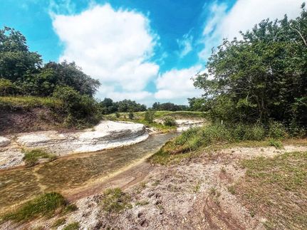 Property in Williamson County, Texas