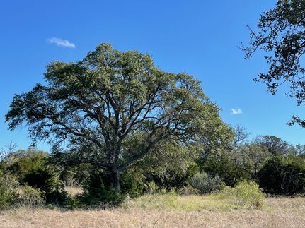 Undeveloped Land for sale in Mills County, Texas