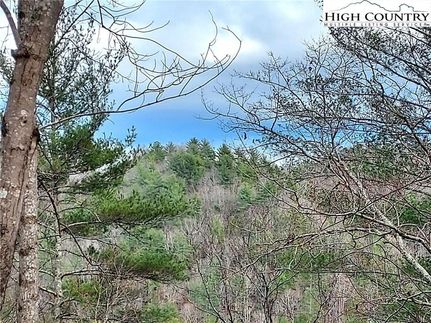 Property for sale in Wilkes County, North Carolina