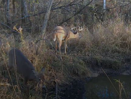 Property in Oconto County, Wisconsin