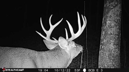 Property in Richland County, Wisconsin