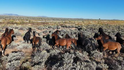 Property for sale in Costilla County, Colorado