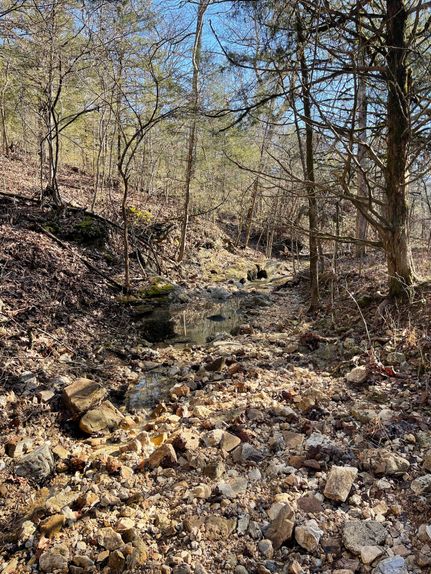 Timberland Property for sale in Ozark County, Missouri