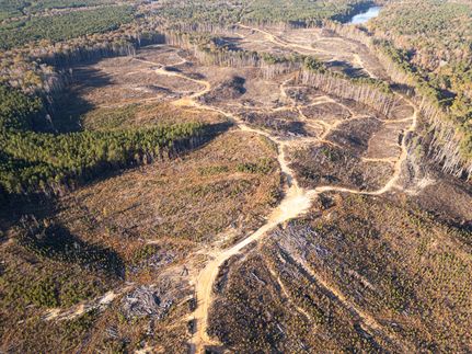 Property for sale in Madison County, Mississippi