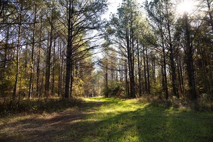 Property for sale in Madison County, Mississippi