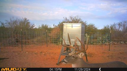 Property in Webb County, Texas