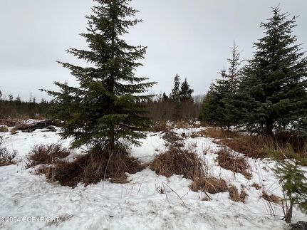 Property in Kenai Peninsula Borough, Alaska