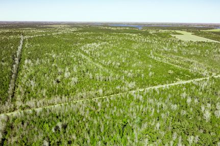 Property for sale in Pamlico County, North Carolina