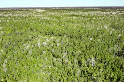 Property for sale in Pamlico County, North Carolina