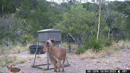 Residential Property for sale in Edwards County, Texas