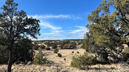 Recreational Property for sale in Catron County, New Mexico