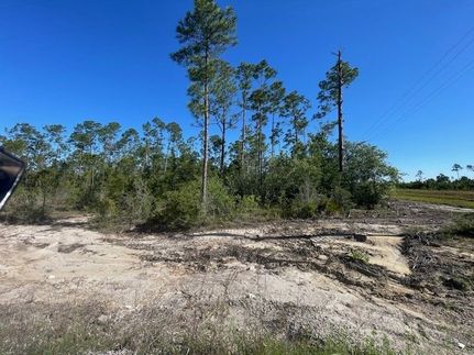Property in Gulf County, Florida