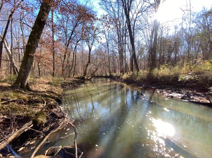 Property for sale in Lee County, Alabama