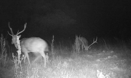 Property for sale in Edwards County, Texas