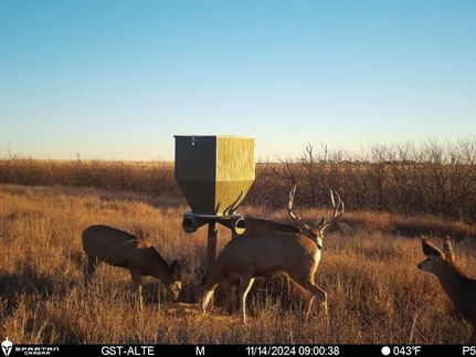 Property in Morton County, Kansas