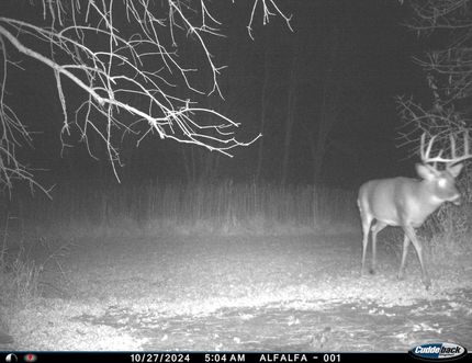 Property in Douglas County, Minnesota