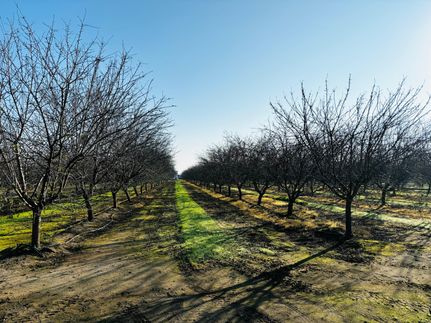 Property for sale in Madera County, California