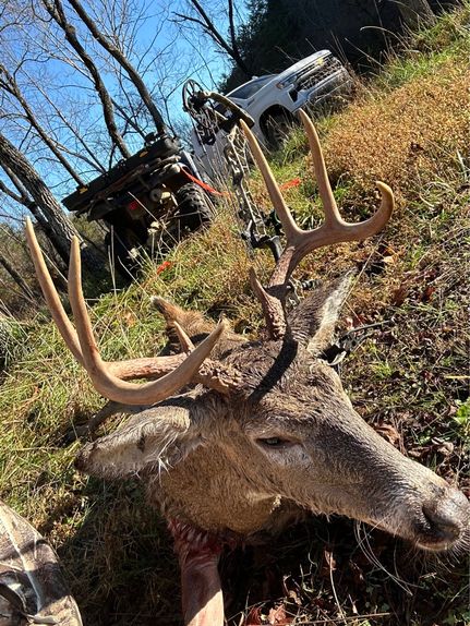 Property in Carter County, Kentucky