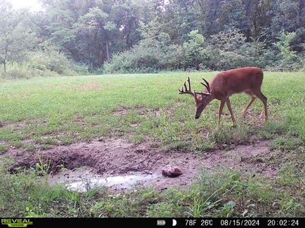 Property in Wapello County, Iowa