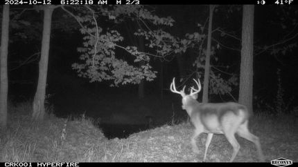 Property in Midland County, Michigan