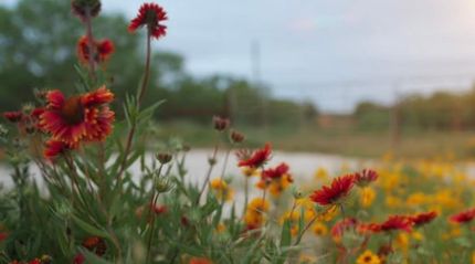 Property for sale in Mills County, Texas