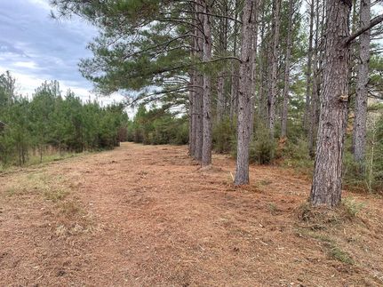 Property in Pearl River County, Mississippi