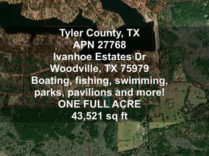 Property for sale in Tyler County, Texas