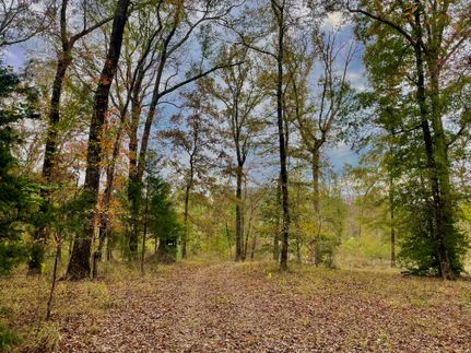 Timberland Property for sale in Marion County, Texas